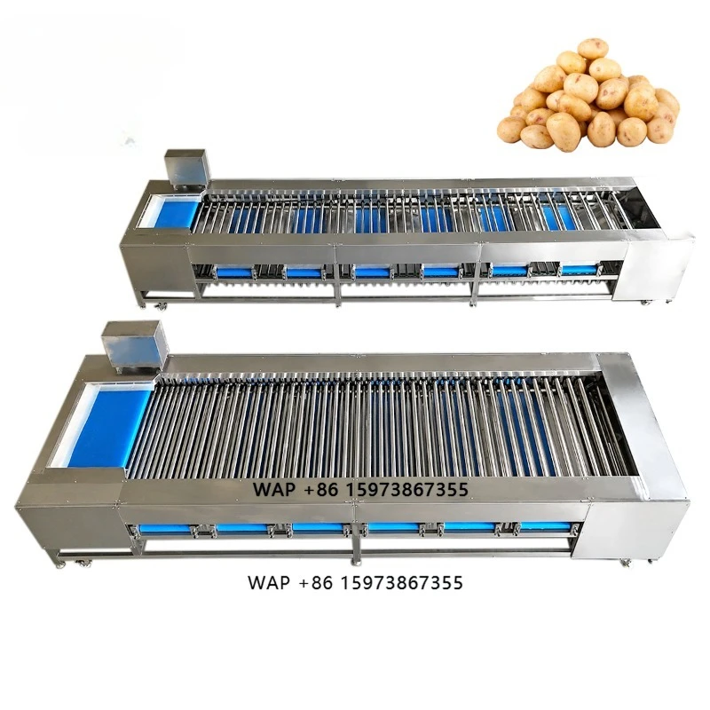 Taro Tomato Mango Fruit Blueberry Potato Vegetable Washing Cleaning Nut Red Dates Feather Waste Automatic Sorting Machine
