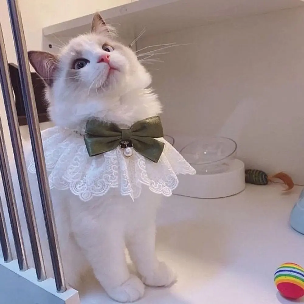 Fashion Cat  Neck Strap Dog Neckerchief Pearl Collar Lace Bowknot Puppy String Bib