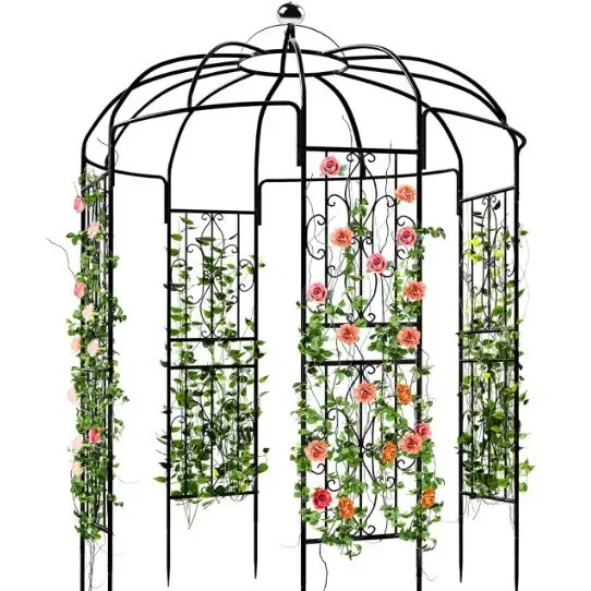 Four-door dome wrought iron arch flower stand climbing vine grape outdoor grass clematis climbing flower stand cross-border