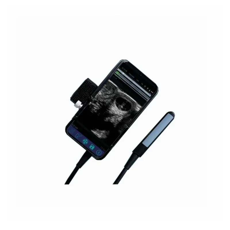 portable mini USB ultrasound Veterinary Vet Rectal Linear USB probe ultrasound for animal use