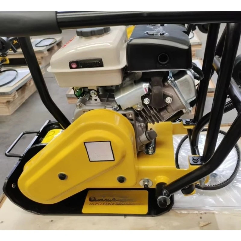 Professional Plate Compactor/vibrating Tamping Compactor