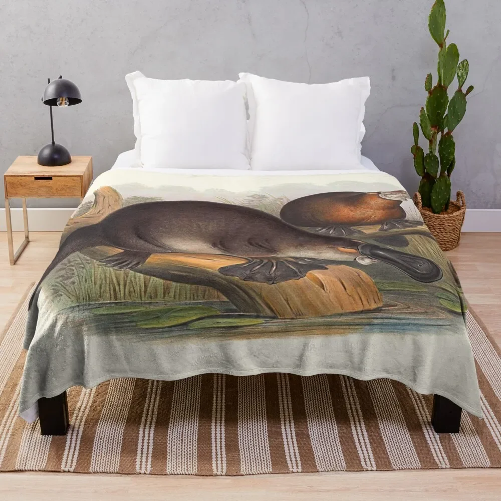 Animals Of Australia The Duck Billed Platypus Throw Blanket christmas gifts Luxury Brand Furrys Soft Blankets