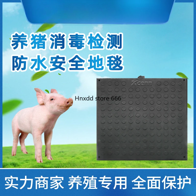 Disinfection Testing Safety Carpet Prevention Swine Fever Phosphorus Liquid Disinfection Sterilization Time Pressure Stamping