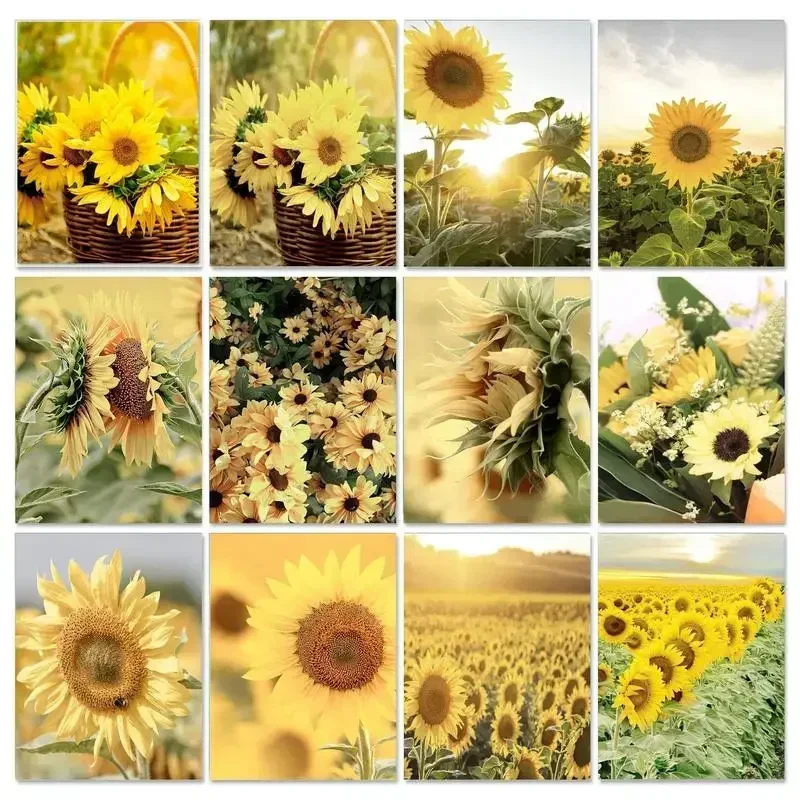 131593 Frame DIY Painting By Numbers For Adults Sunflower Picture Canvas Painting Acrylic Paints By Numbers Flowers