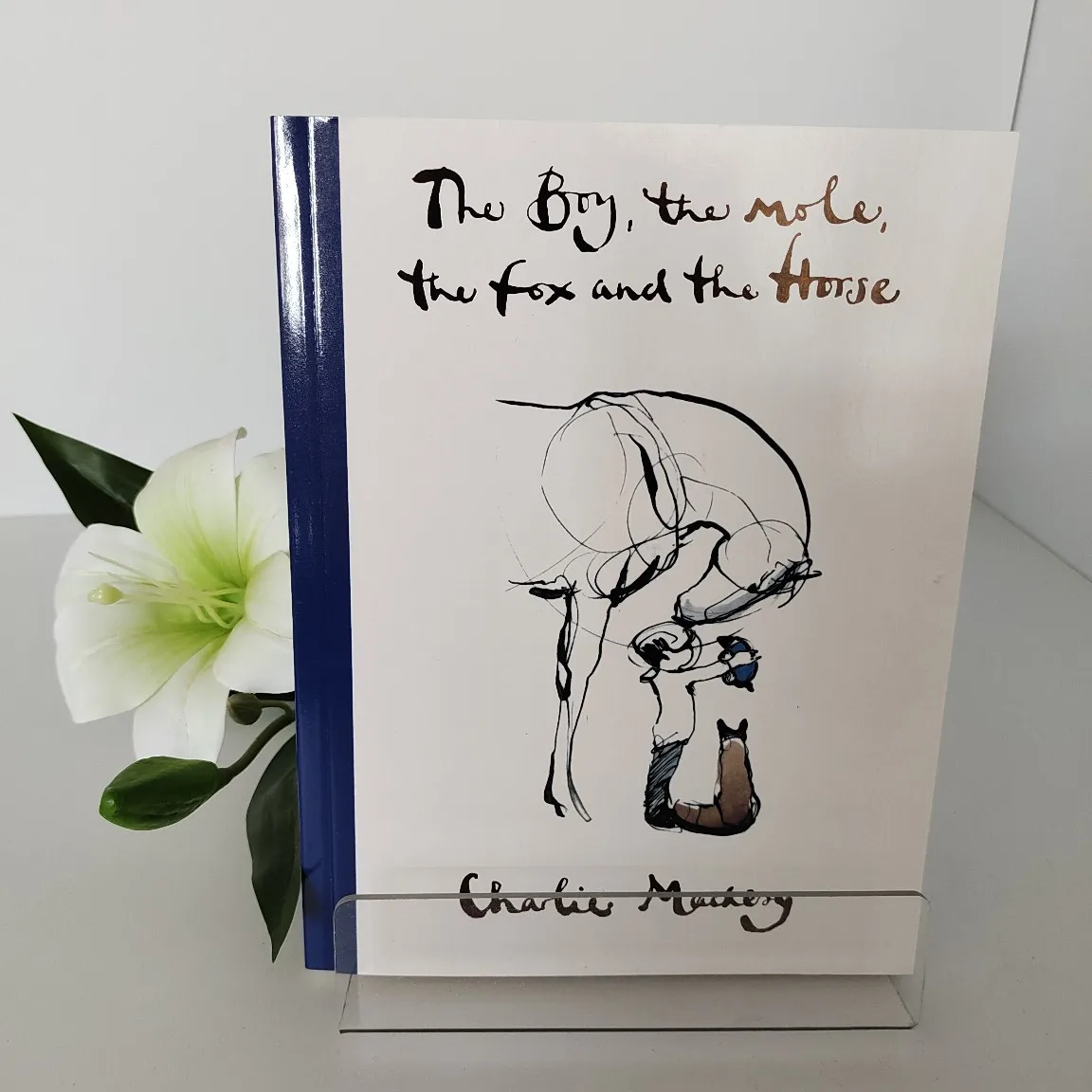 

The Boy, Mole, Fox and the Horse, BAFTA & Oscar-Winning Animated Short, Limited 5th Anniversary Edition, English Origina