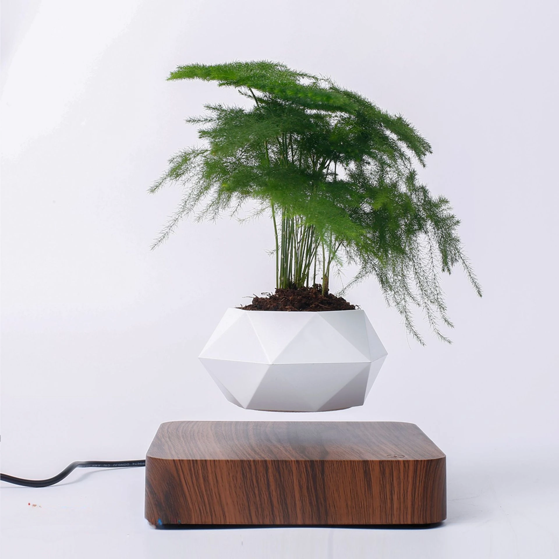 decoration-de-salon-artisanat-creatif-plantes-bonsais-vente-en-gros-pot-maglev-pot-de-fleurs-plantes-vertes