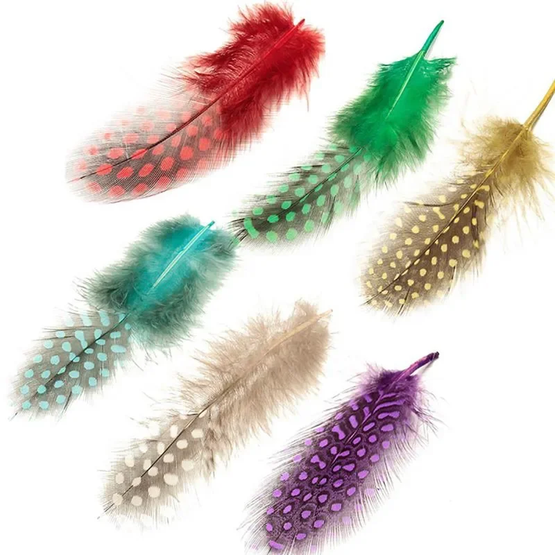 20Pcs Natural Colored Guinea Fowl Feathers for Jewelry Making Pheasant Plumes Handicraft Accessories Dream Catcher Feather Decor