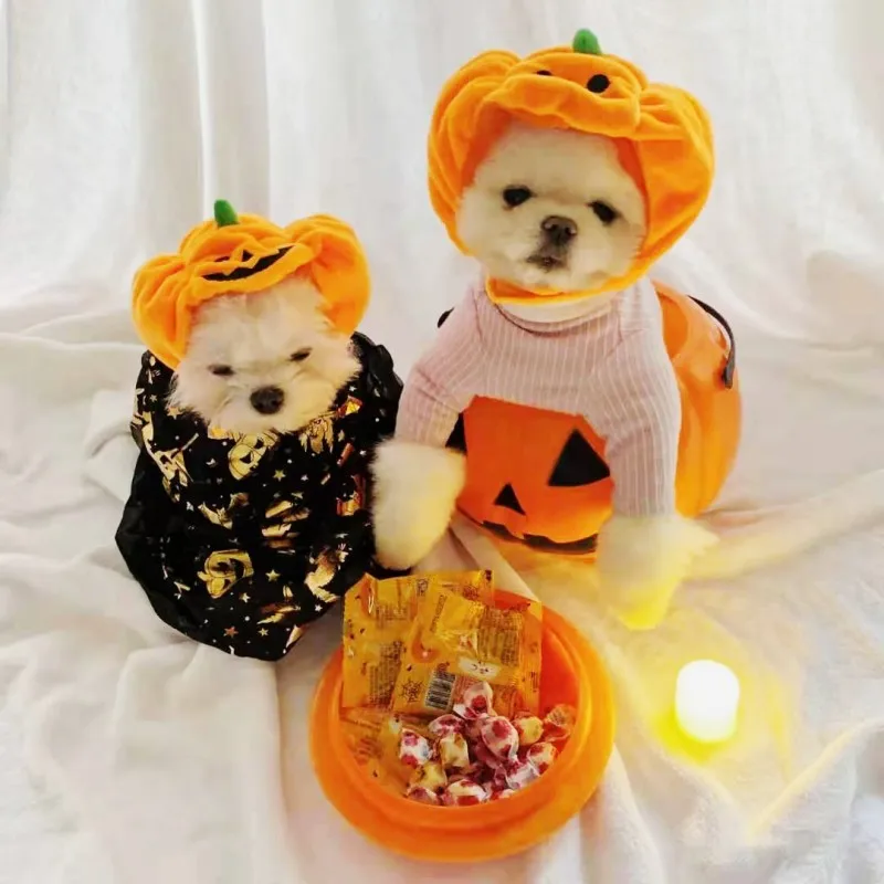 Halloween Dog Costume Pet Hat Funny Party Accessories Cat Puppy Cap Chihuahua Yorkshire Bichon Frise Cosplay Pumpkin