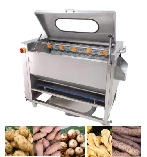 Electric Automatic Potato Ginger Lobster Cucumber Drum Brush Peeling Machine