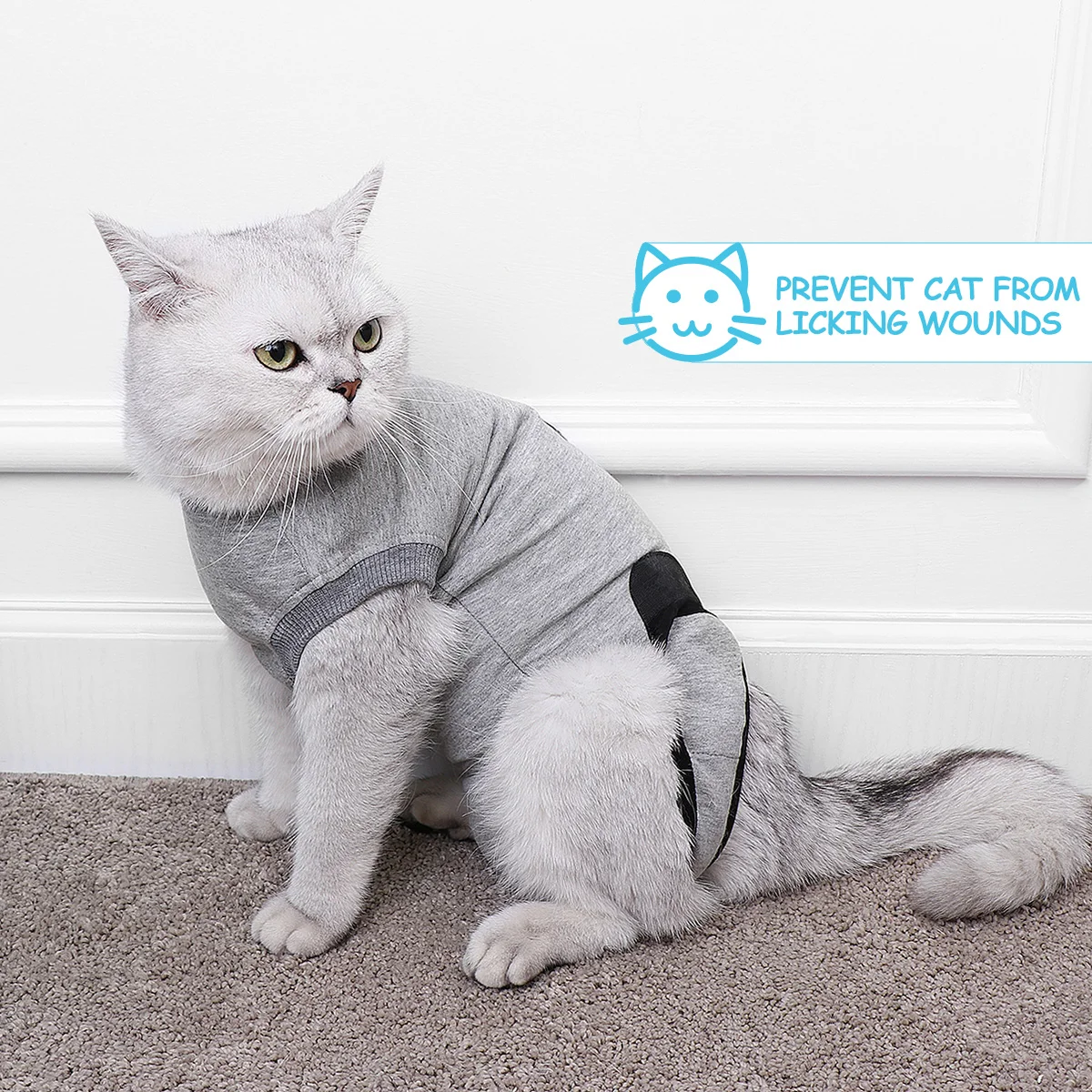 Pet Post-operation Clothing Suit Anti- Surgical Recovery