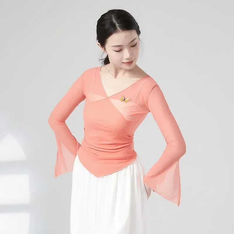 Classical dance body rhyme butterfly gauze class uniform art test practice suit Chinese national dance costume top women