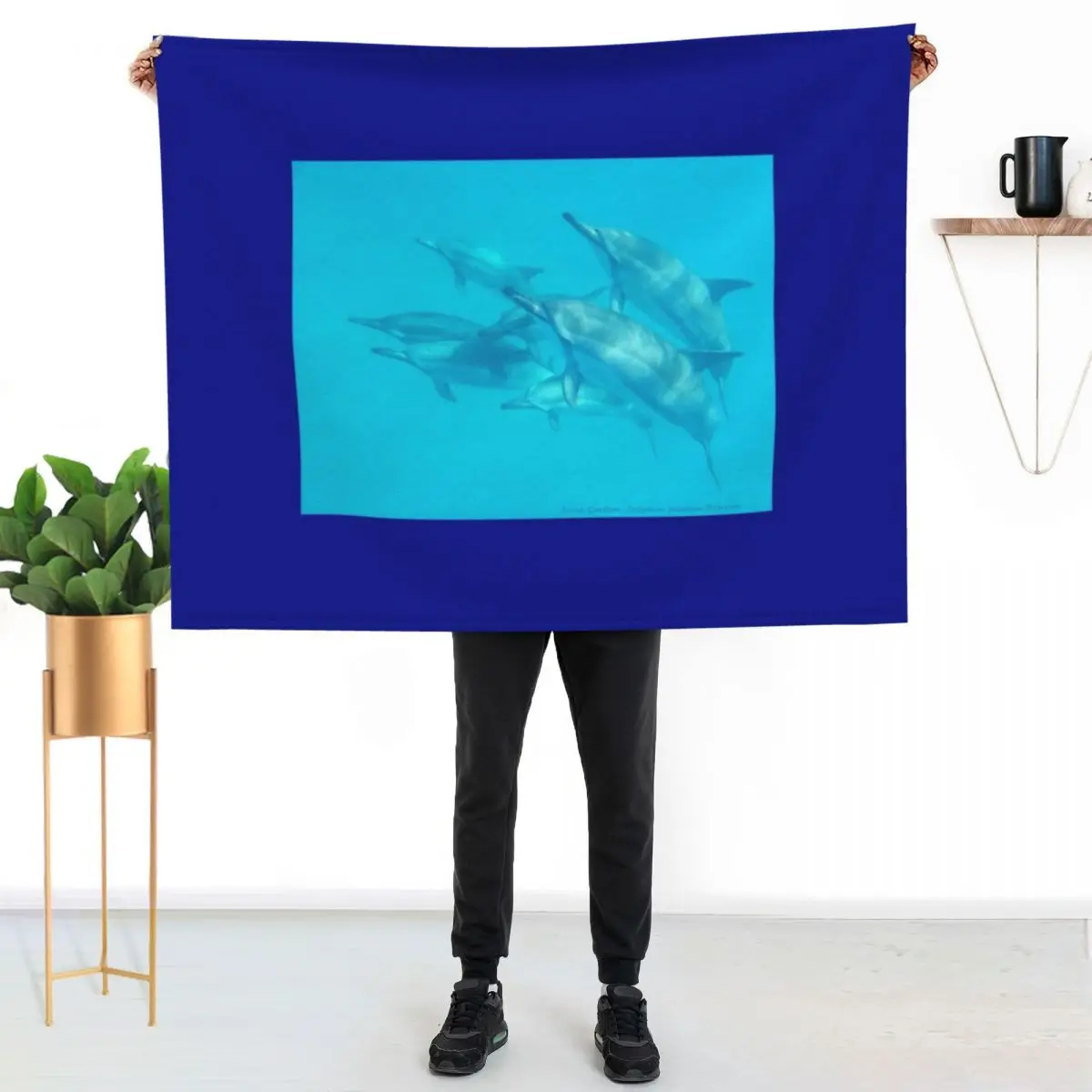 Dolphin Ascendance Throw Blanket Kid'S manga Bed covers Softest Soft for babies Blankets
