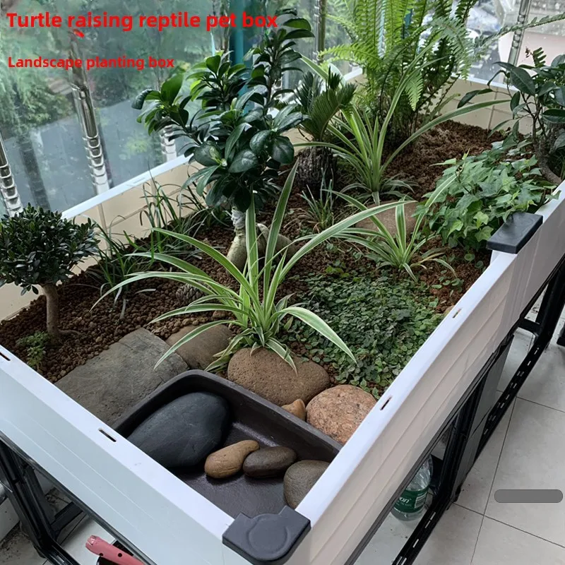 Raising turtles Turtle ecological breeding box Raising environment Plant landscape planting box