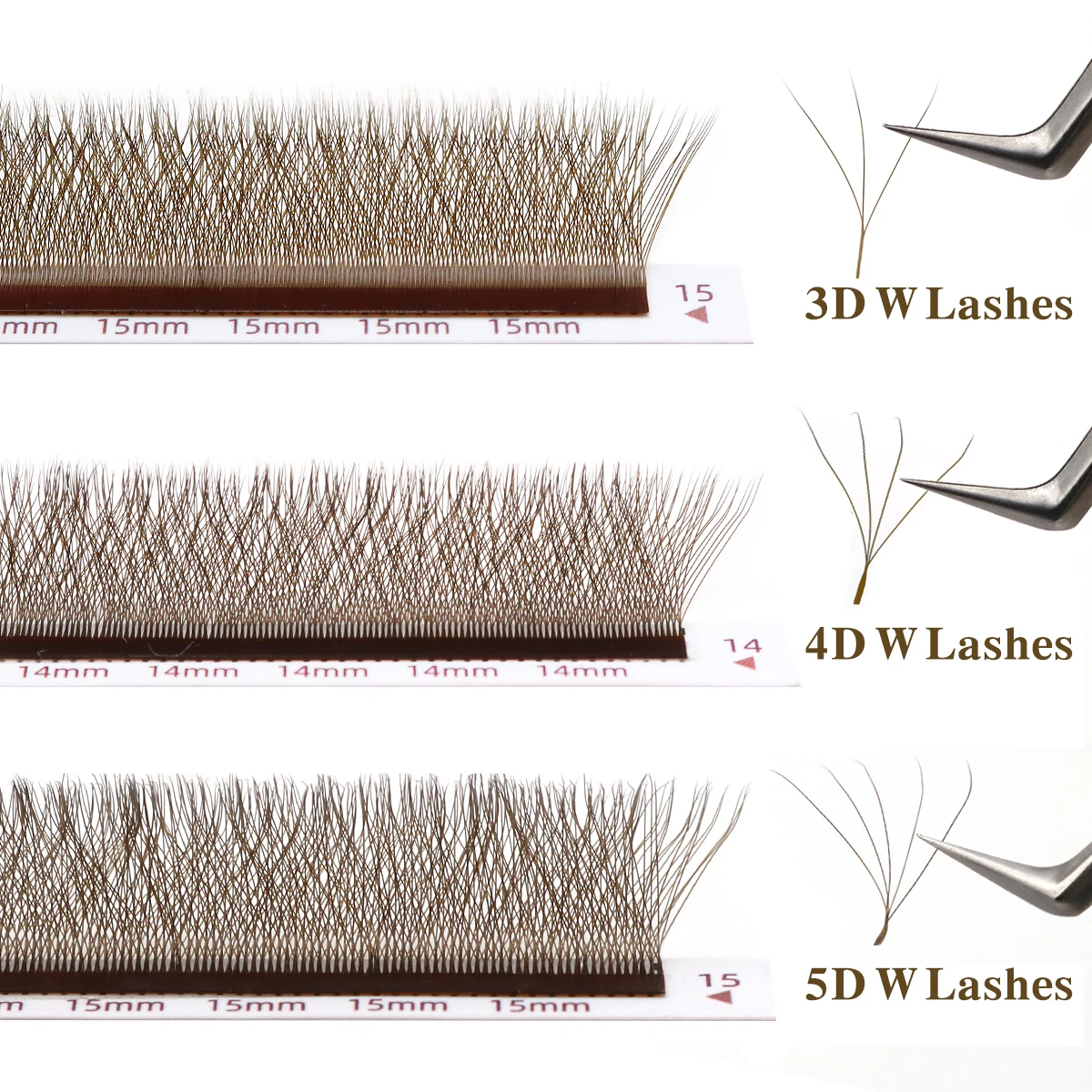 래쉬온리 브라운 W 속눈썹 연장 빔 자동 꽃모양 속눈썹 - Eyelash Extension Fan 리뷰 및 가격