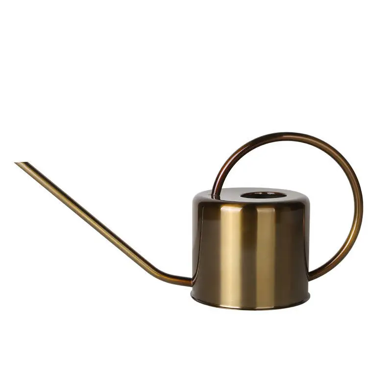 

Оцинкованная металлическая лейка с длинным узким носиком для полива растений в помещении и на улице