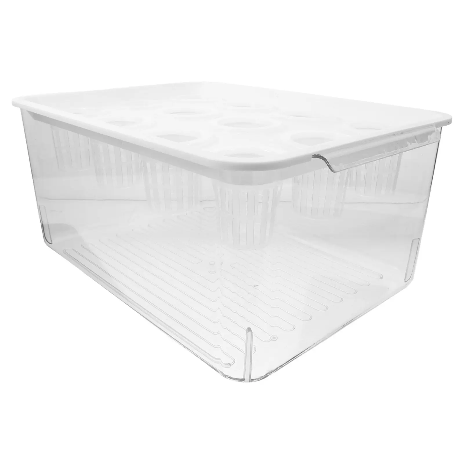 1Set Clear Rimless Aquatic Plant Pot Transparent Fish Tank for Small Fish Soilless Growing Easy Clean Balcony Garden Desktop