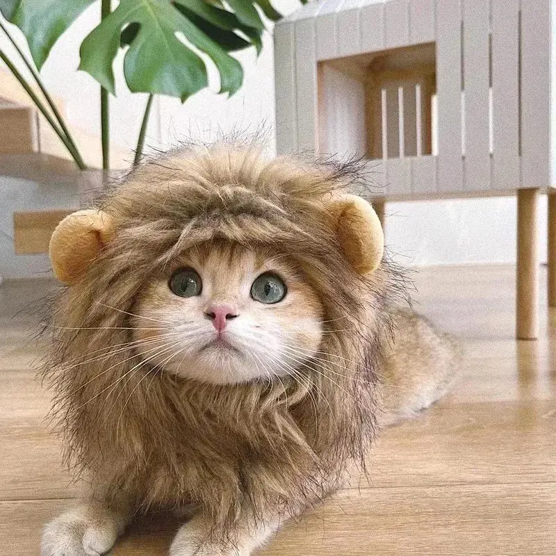 TONG New Cat Lion Costume Hat Pets Clothes Cap Cute Cat Wig Lion Mane Costume Cosplay Kitten Hat Lion Head Mane Hat for Cat