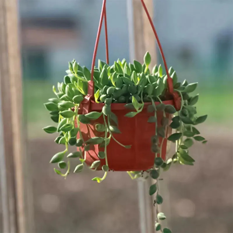 Plastic Planter Octagonal Hanging Basket Garden Plant Flowerpot Indoor Outdoor Hanging Balcony Flowers Pot With Hook Home Decor