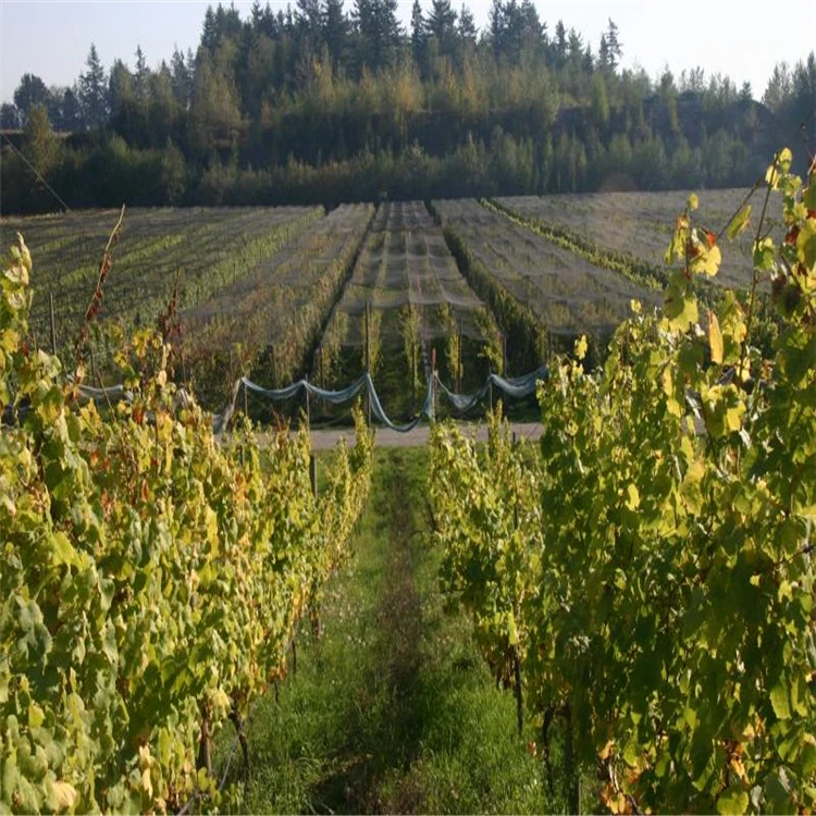 2025 شبكة تظليل الشمس لشبكة الظل الزراعية المتينة