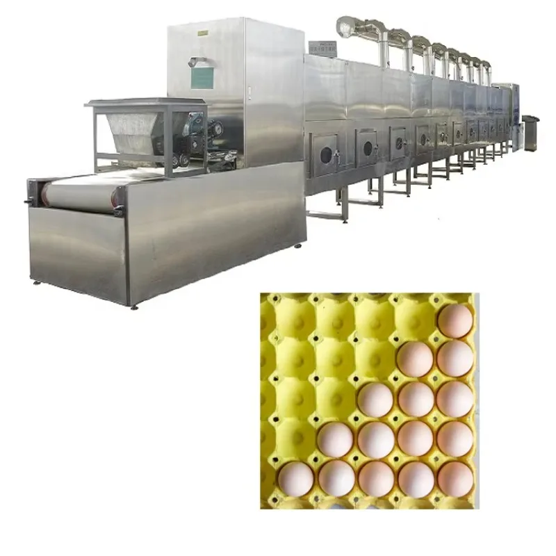Eco-Friendly Waste Paper Recycling Machine for Egg Tray Production Fully Customized Production Line with Low Energy Consumption