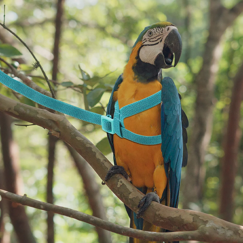 خفيفة الوزن الببغاء تحلق تسخير قابل للتعديل مقاومة للاهتراء المقود ل Cockatiels Conures في الهواء الطلق التدريب الداخلي الطيور تسخير #2