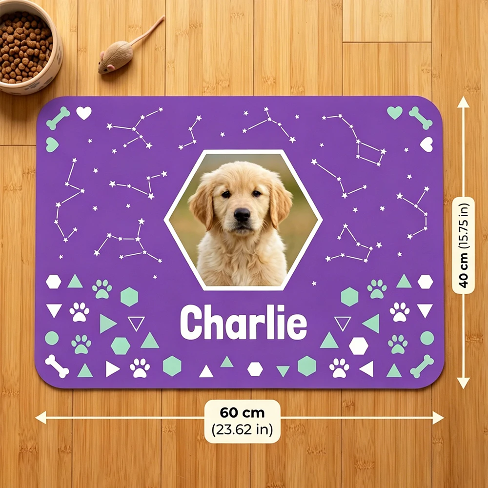 Custom Personalized Pet Feedin - огляд і ціна Pet Supplies Wash Station