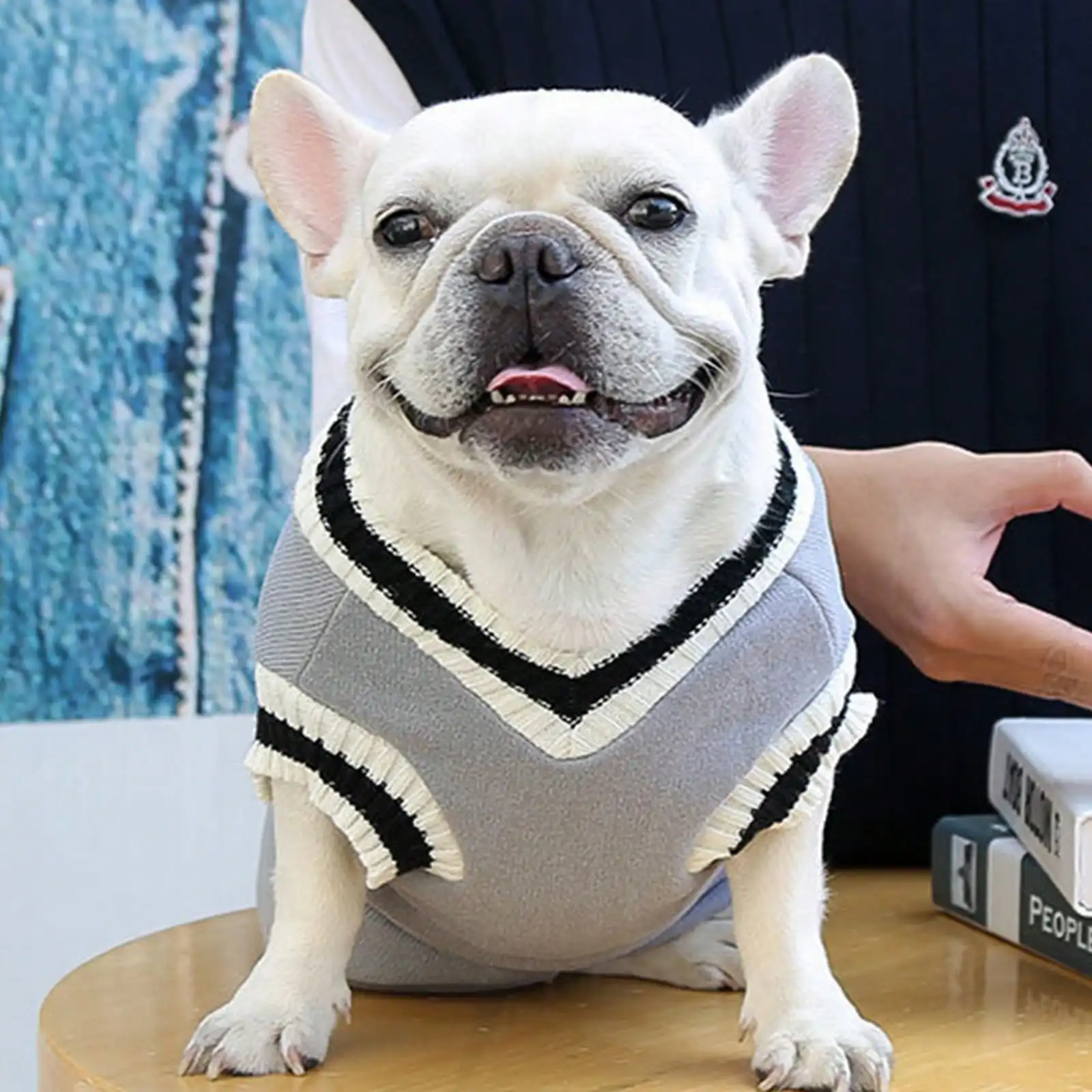 1pc knitted waistcoat V-neck college style pet dog and cat clothing vest