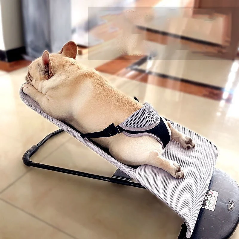 Pet Rocking Chair Dog Teddy Sleeping Summer Shaker Dog Cat House Convenient Breathable Comfortable Can Unpick Wash Pet Products