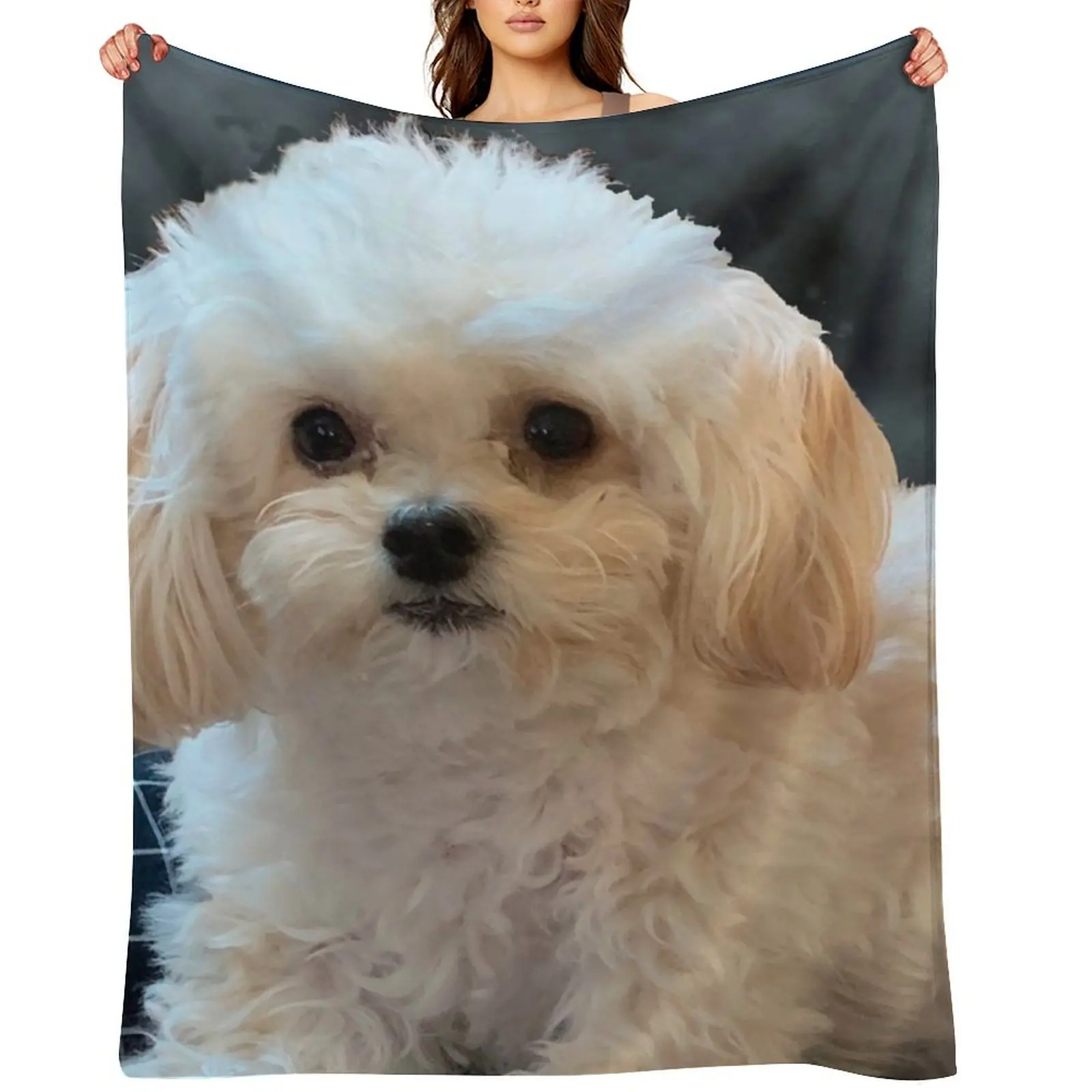 Maltipoo Love. Beautiful little dog with long silky white hair. Throw Blanket Luxury Throw Furrys Sofa Blankets
