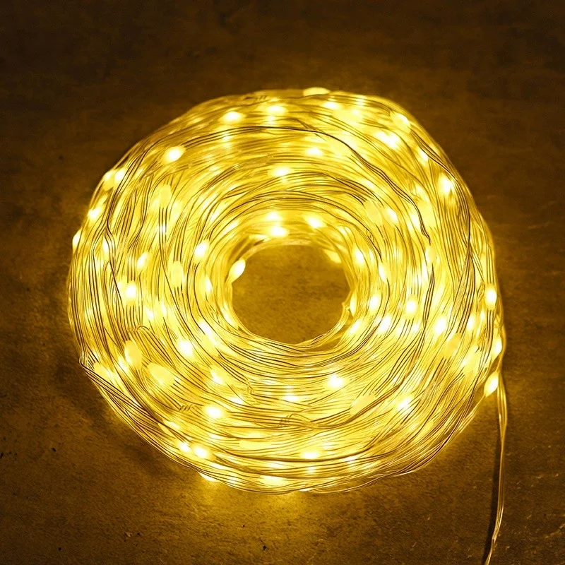 

Garland 100 Meters LED Festoon Fairy String Light Christmas Lights Length 30/50M EU Plug Operated Come with 24V Transformer
