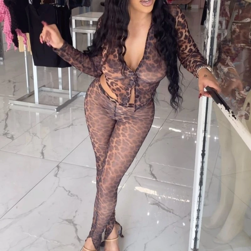 

Women Leopard Pant Sets Two Pieces Matching Set Long Sleeves V Neck Coat Elastic Waist Skinny Pants Thin Slim Casual 2026 Spring