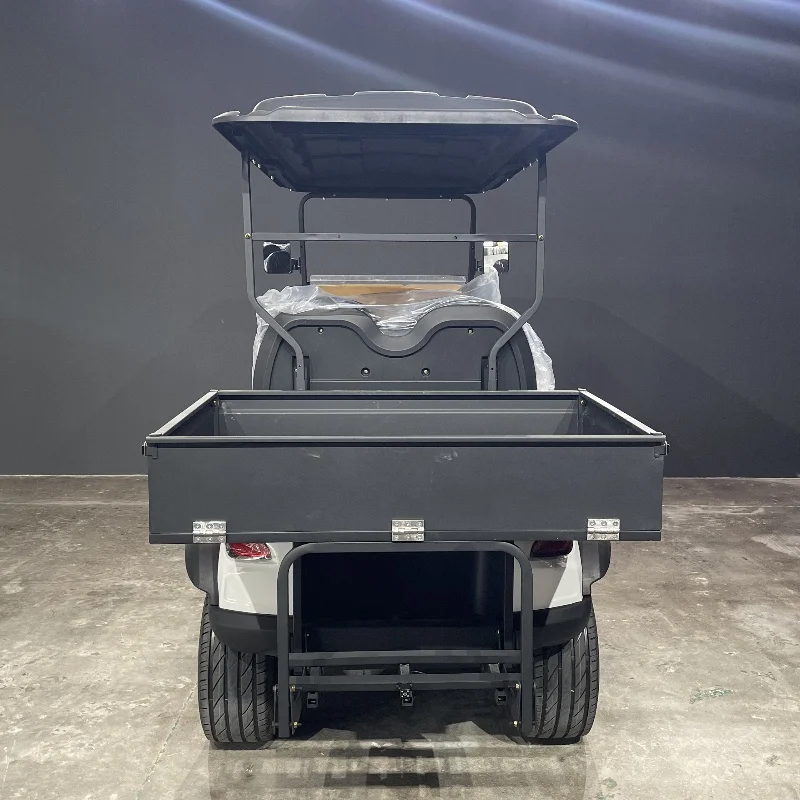 

Factory Direct Sale 4 Seater Utility Vehicle Electric Car Standard 6 Seater Golf Cart with Cargo Box