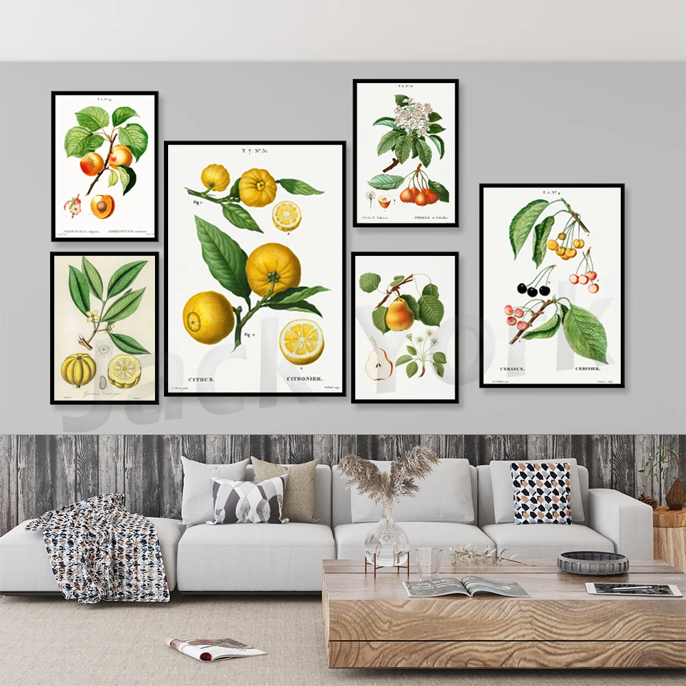 Vintage Botanical Fruit Illustration Poster Retro Drawing Farmhouse 1800s Boho Home Decor Wall Art Print