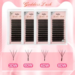 Deusa Cilios Extensões de cílios individuais, Shape Lashes Extensão, Double Tips, 3D, 4DW, 6D, 8D