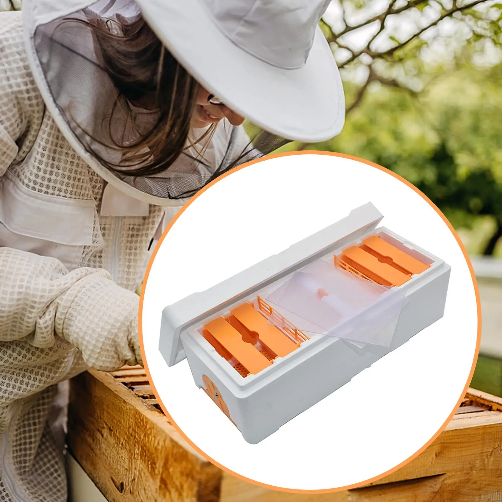 Foam Bee Rearing Cage Portable Multipurpose Beekeeping Tools for Beekeeping view 3