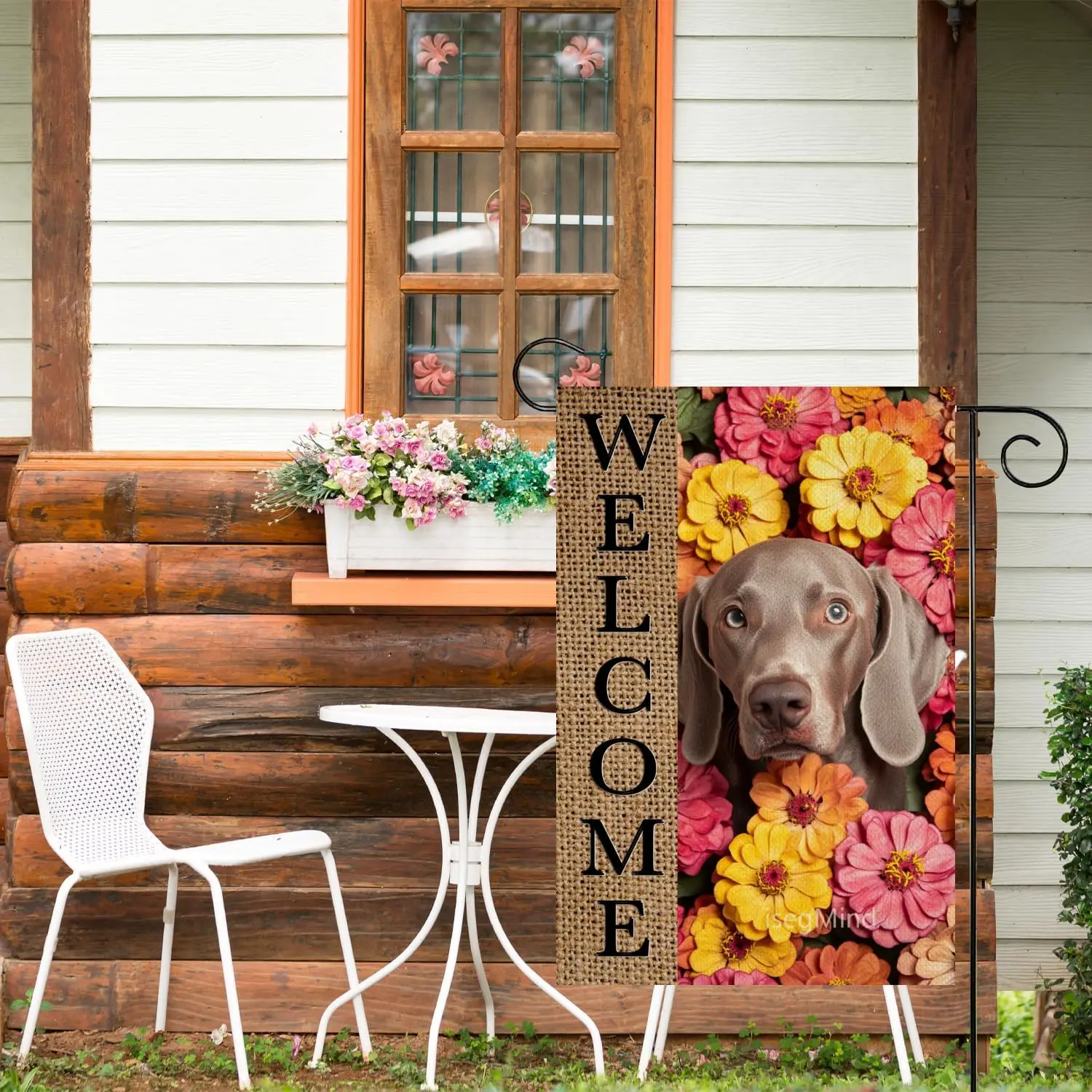 IsegMind Home Weimaraner Garden Flag Vibrant Zinnias Spring Flag 12x18 Inch Double Sided for Outdoor summer House Yard Decor WZZ