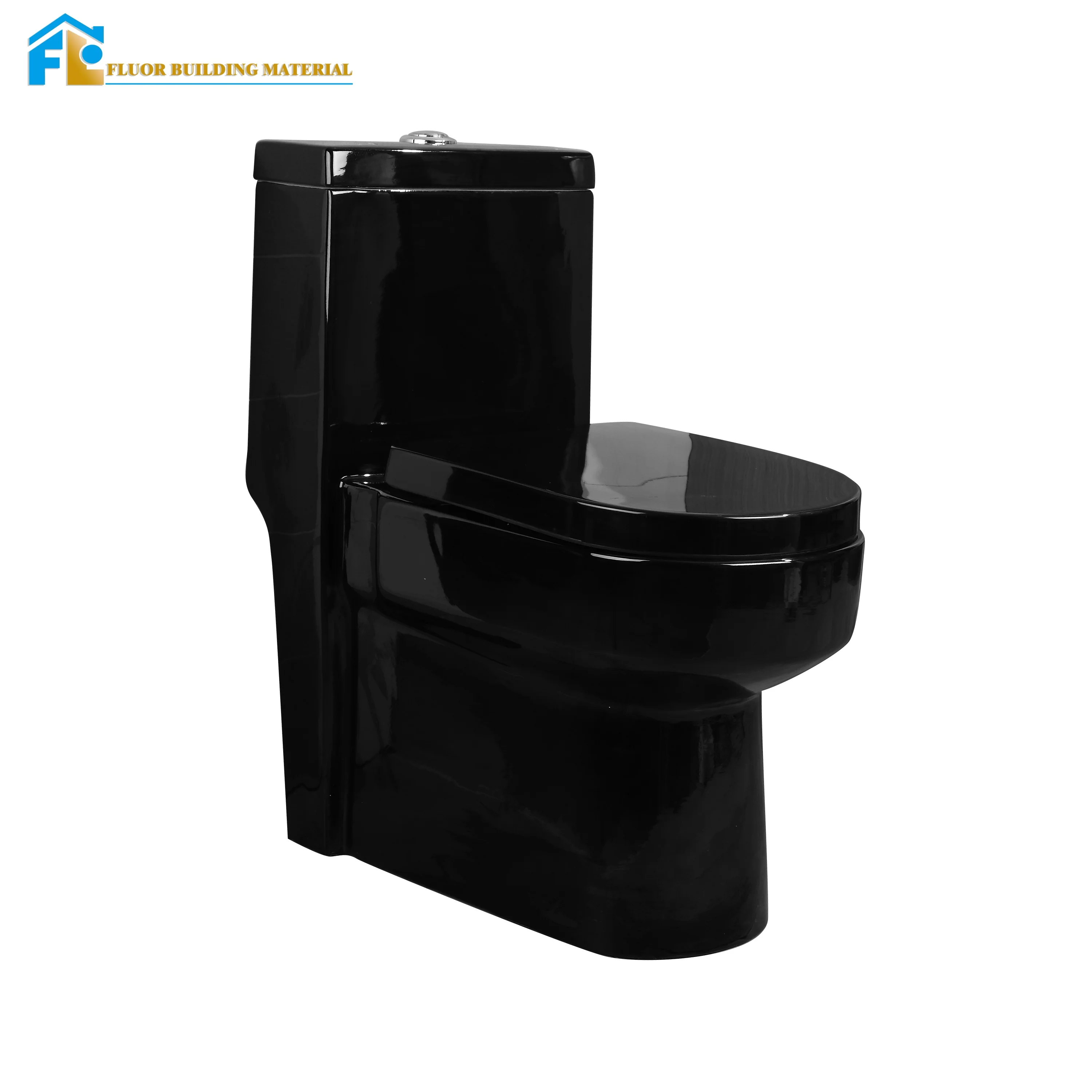 FLUOR Dual Flush One-piece Black Ceramic Toilet With Siphonic S-Trap Portable Dual Flush Design
