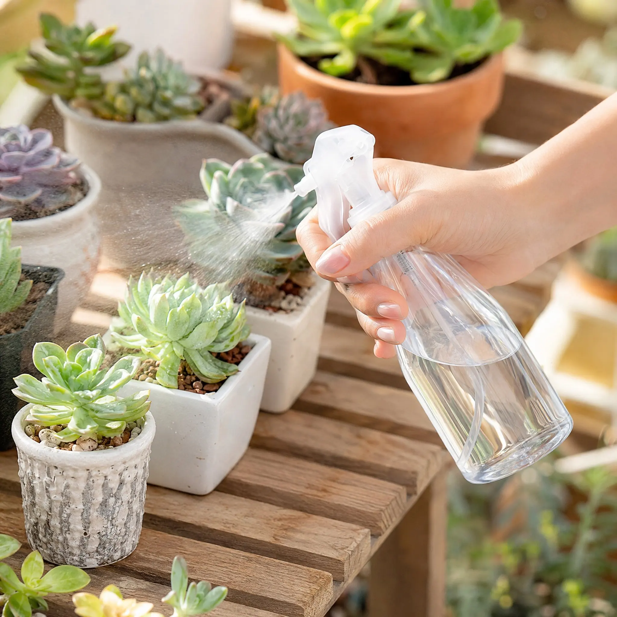 2Pcs Spray Bottle Plastic Leak-Proof Safe Odorless for Garden Plants Cleaning Products Home Beauty Treatment Travel