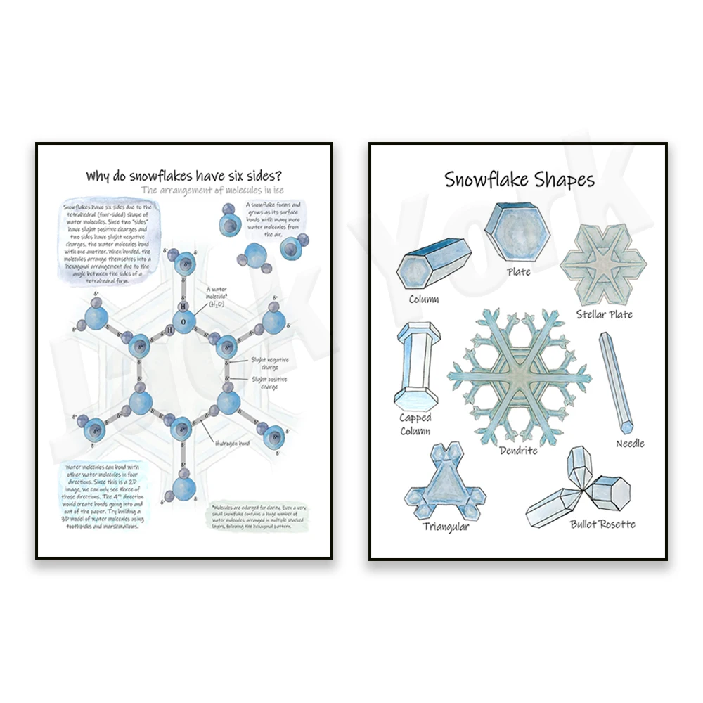 Snowflake types: Snowflake shape, why do snowflakes have six sides? Chemistry lecture notes, water molecule, science class poste