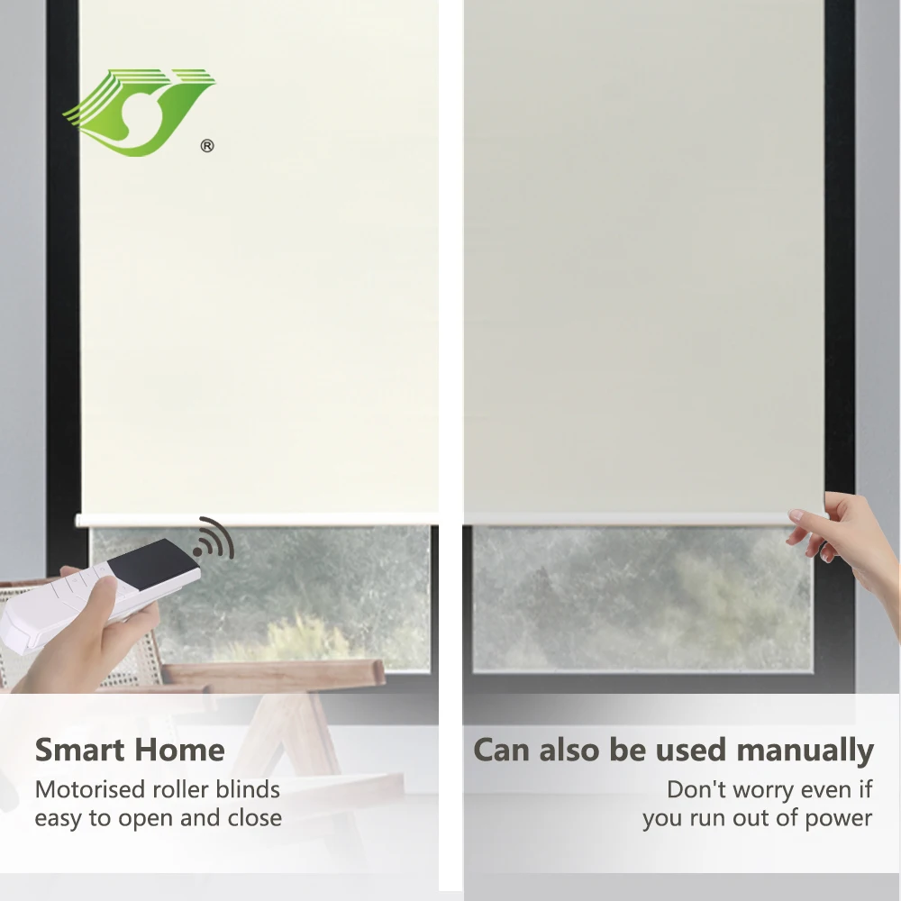 Electric&Manual Dual System  Window Shade Blackout Privacy Protection Wifi Google Home Control Roller Blind Home Deco