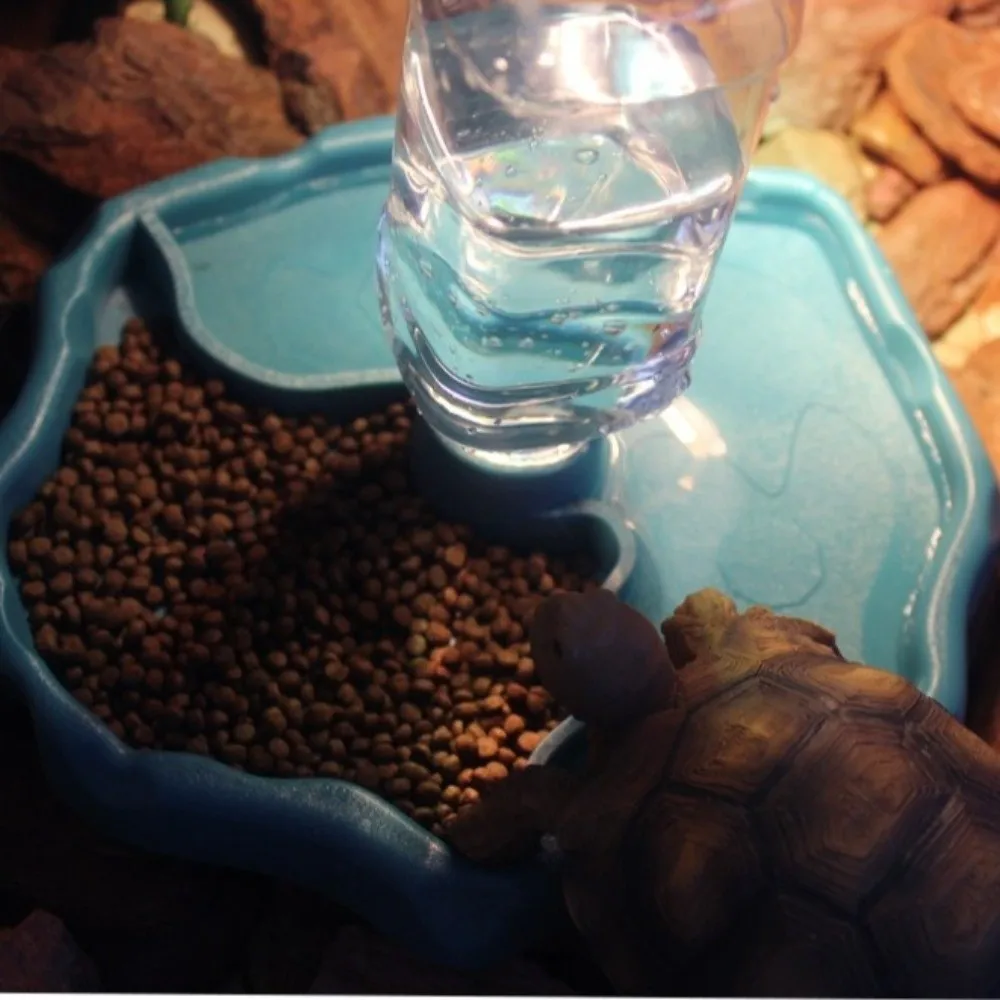 New Removable Reptile Feeder Easy-Clean Large Capacity Small Pet Bowl Non-Tip Shallow Turtle Feeding Dish Pet Supplies