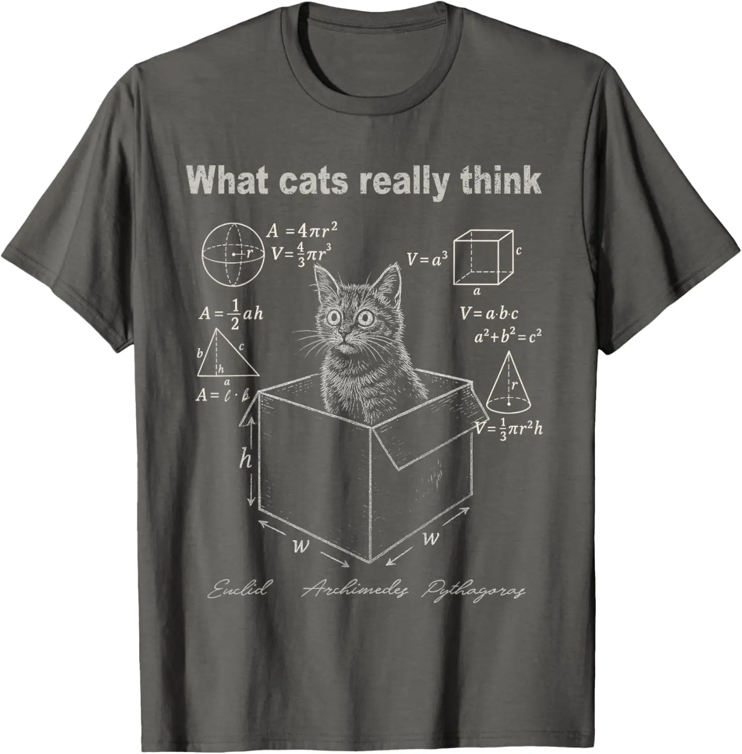 Cat In Box Math Humor T-Shirt Funny Logic Formulas Graphic Tee For women Casual Trip women clothing Fashion Summer Streetwear