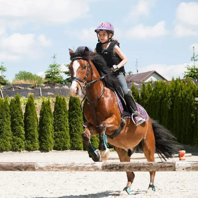 Casco de seguridad para montar a caballo, equipo protector para la cabeza, para ciclistas ecuestres de 2 a 6 años