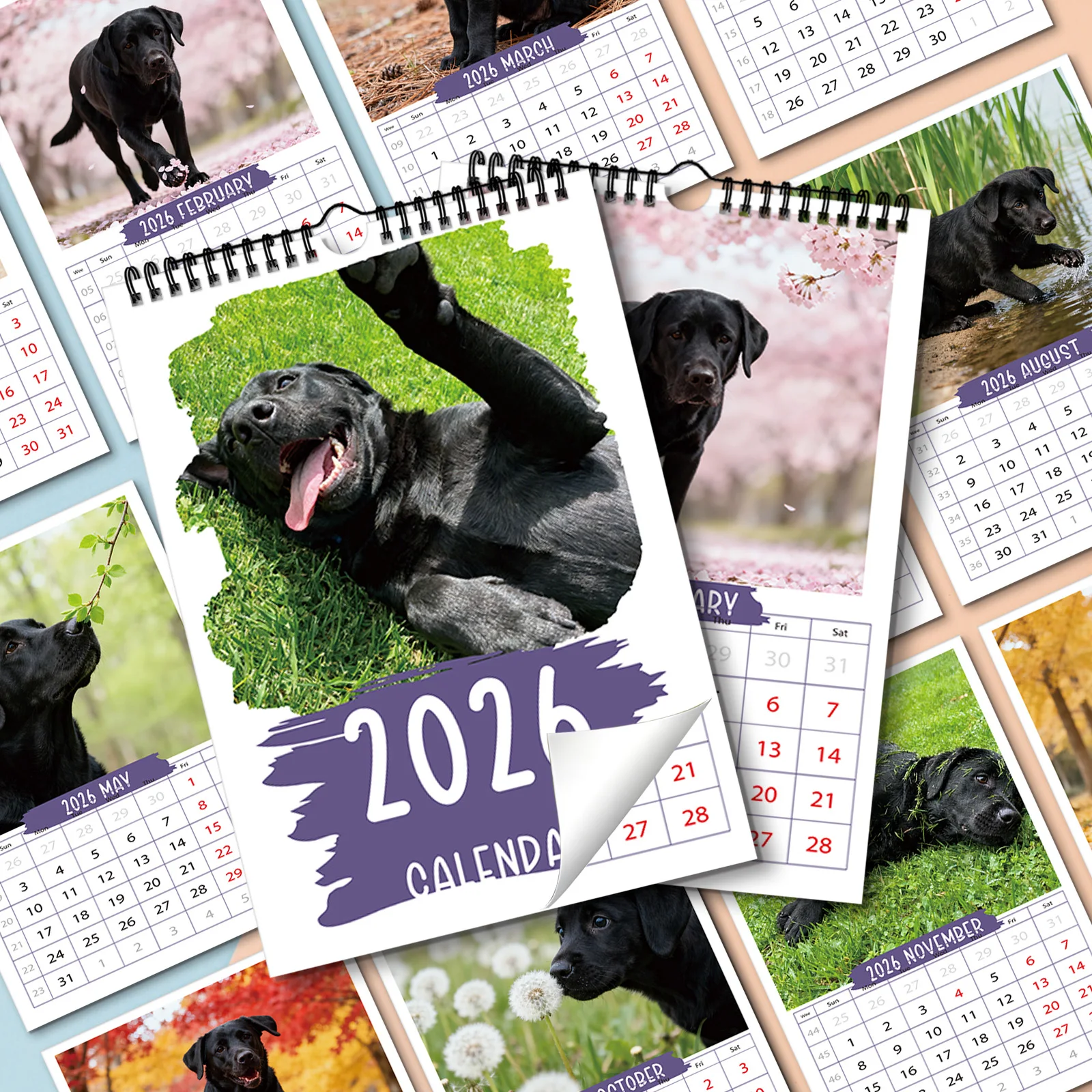 ปฏิทินสุนัขสีดำและมีพลังที่น่ารัก 1 ชิ้น เหมาะสำหรับการตกแต่งห้องนั่งเล่น เหมาะสำหรับคนรักสัตว์เลี้ยงที่มีความเสถียรทางอารมณ์