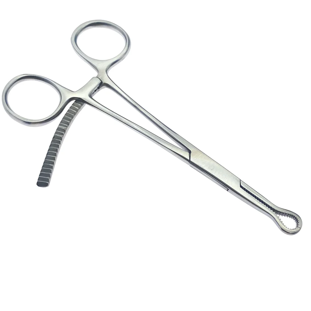 Orthopedic Small Serrated Bone Holding Forceps Stainless Steel Veterinary Orthopedic Instrument