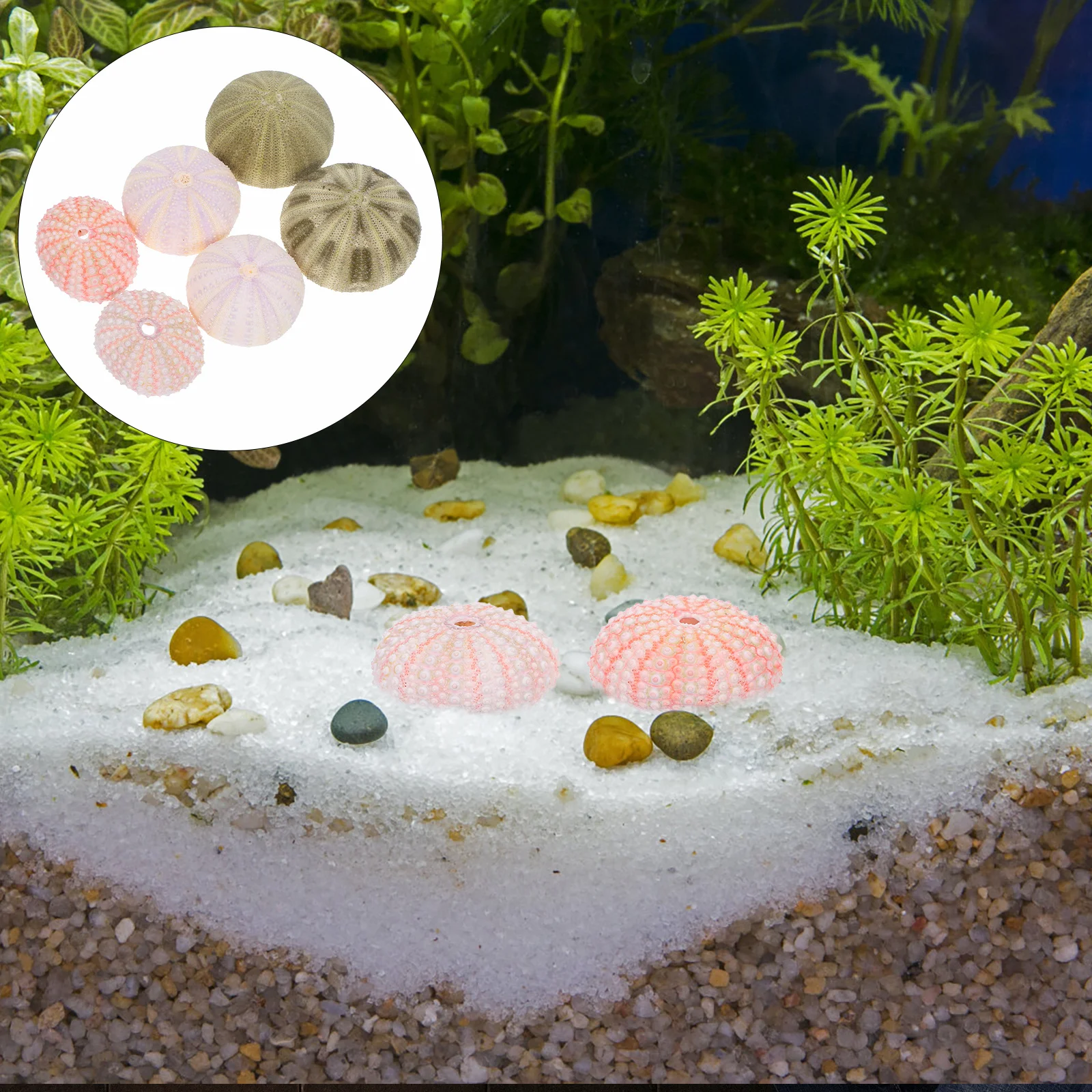 

6Pcs Aquarium Decorations Sea Urchin Ornaments Realistic Sea Urchin Decors Fish Tank Accessories Home Desktop Decor
