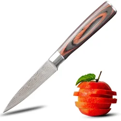 3.5 inches Small Paring Knife for Chopping Vegetable Steak Cutting Peeling fruit German High Carbon Stainless Steel Fruit Knives