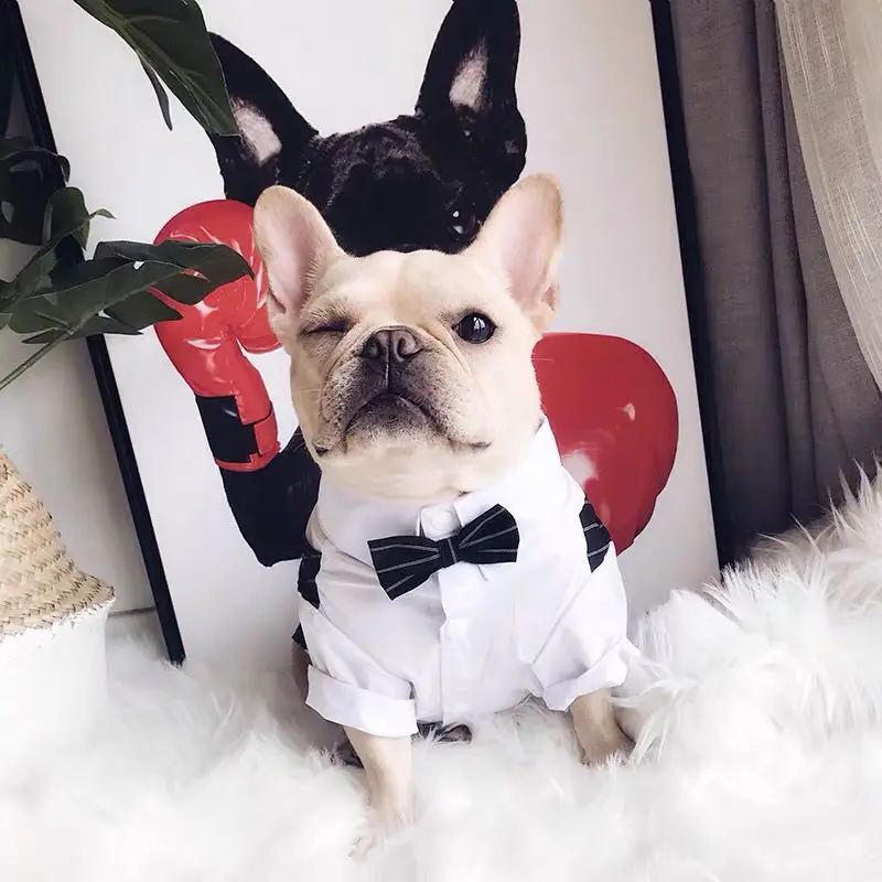 

Pet Dog Suits Summer Teddy Suit Shirt Costume Wedding Dresses Dog And Cat Clothes Smoking Perro Esmoquin Perro Honden Kleding