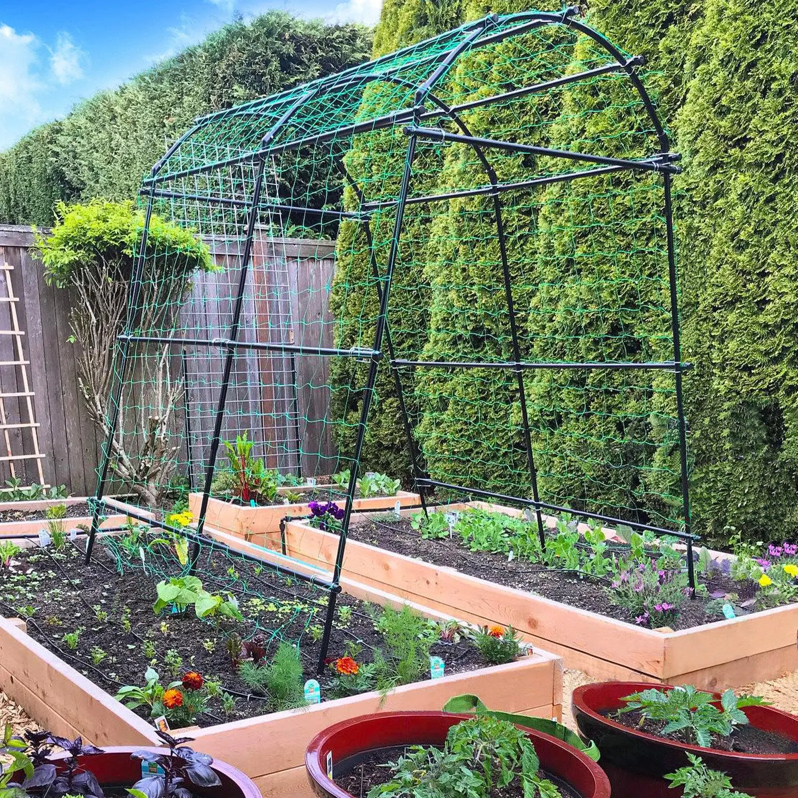 

Garden Trellis Grow Cucumber Vine Fruits Vegetables Tomato Climbing Plants Support Frame