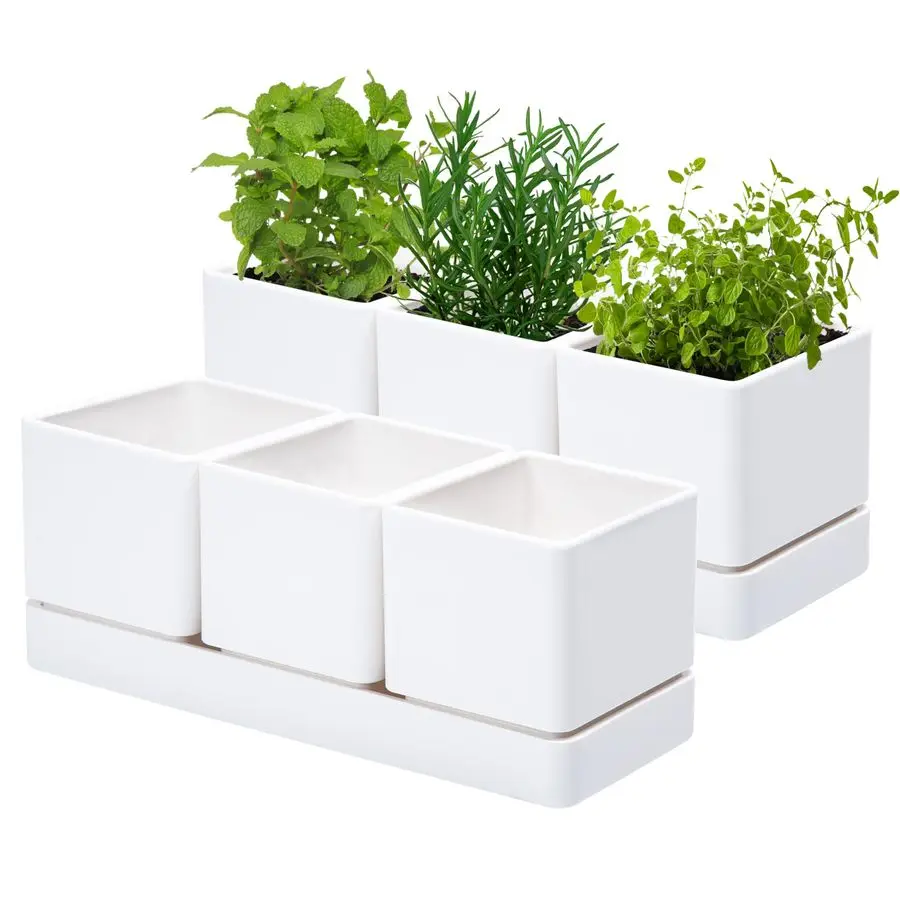 

Herb Garden Planter Set, Plastic Plant Pots with Drainage and Saucer, Indoor Succulent Cactus Vegetable Pot for Windowsill,